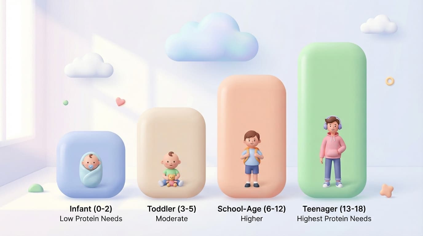 مقایسه نیاز پروتئین در نوزاد، نوپا، کودک مدرسه‌ای و نوجوان به‌صورت نمودار تصویری